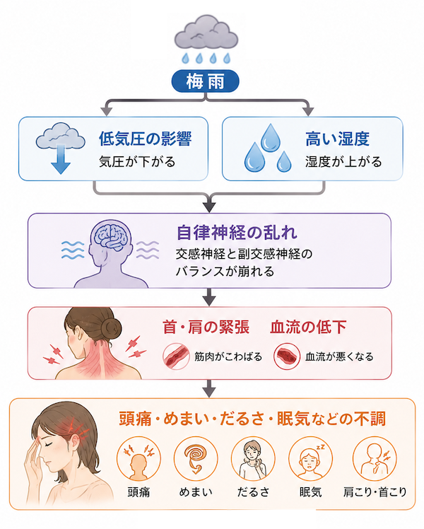 梅雨の体調不良と自律神経の関係を示した図解