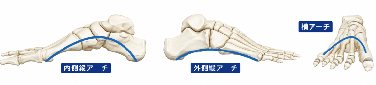 縦横のアーチ構造