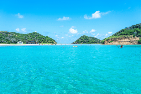 海