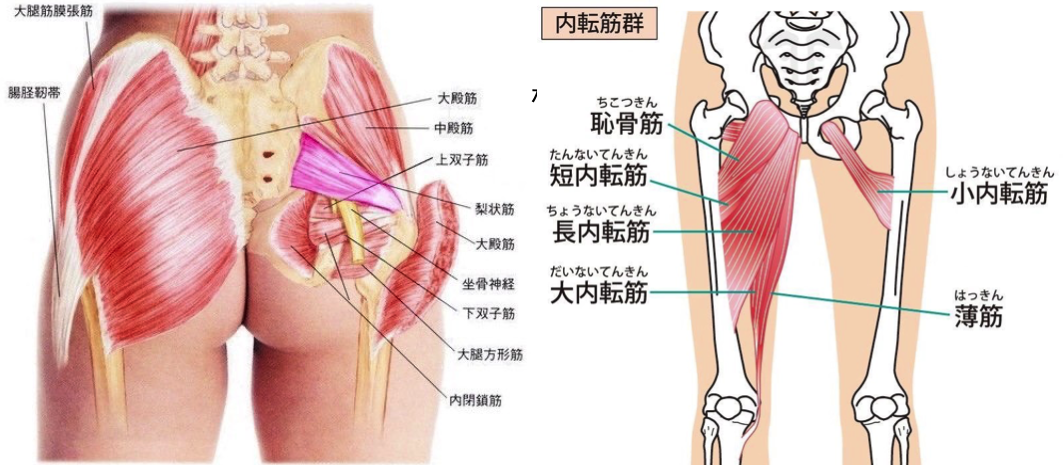 Xo脚 整体 鍼灸なら実績と信頼の メディカルジャパン新宿