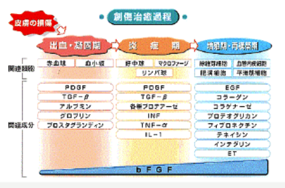 美容鍼 整体 鍼灸なら実績と信頼の メディカルジャパン立川