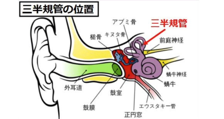 めまい 眩暈 整体 鍼灸なら実績と信頼の メディカルジャパン立川