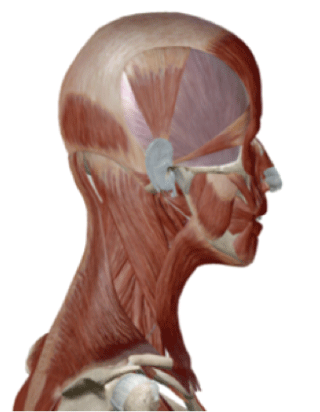 頭痛 整体 鍼灸なら実績と信頼の メディカルジャパン新宿 新宿駅徒歩1分