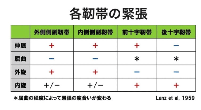 靱帯 半月板損傷 整体 鍼灸なら実績と信頼の メディカルジャパン立川