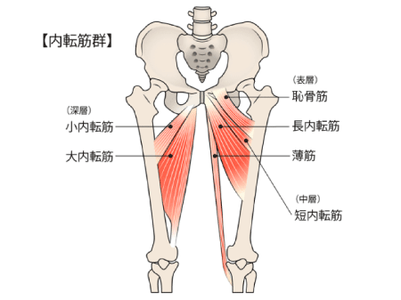 Xo脚 整体 鍼灸なら実績と信頼の メディカルジャパン立川