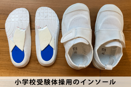 Dr.DYMOCOインソール - 立川No.1実績｜選ばれる整体・鍼灸院 