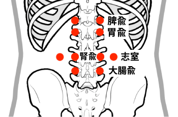 投稿の画像