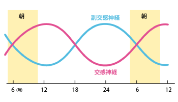 自律神経