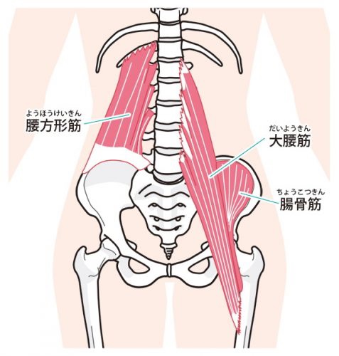 投稿の画像