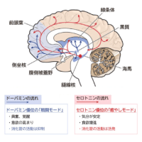 感覚受容機