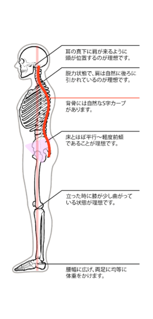 姿勢ポイント