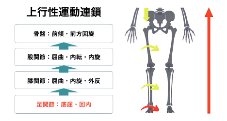 width一覧