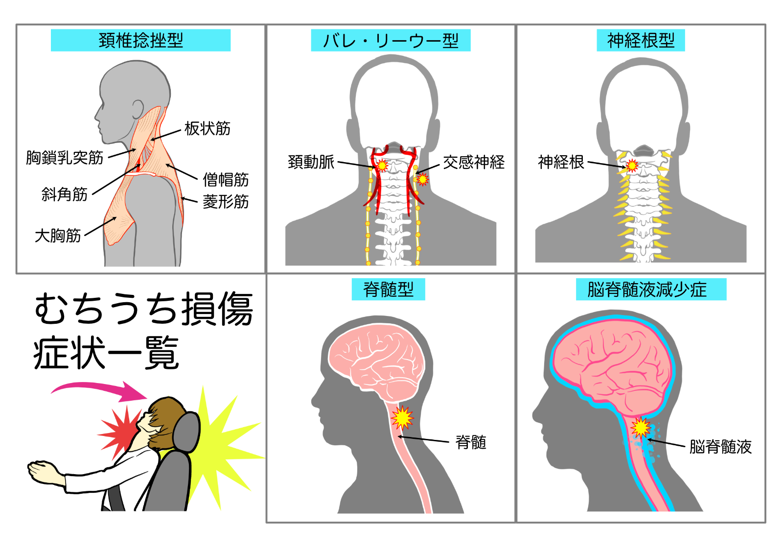 投稿の画像