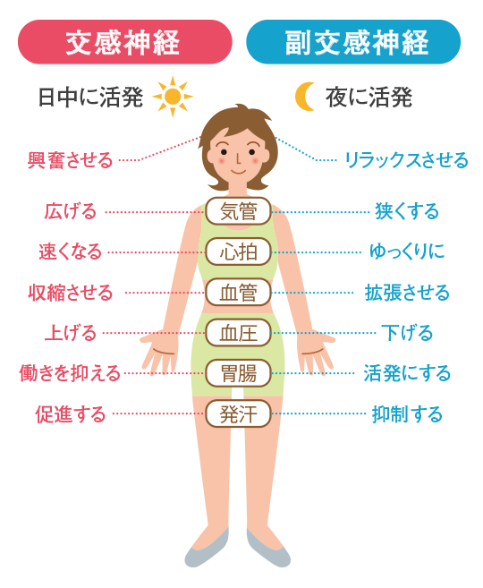 投稿の画像