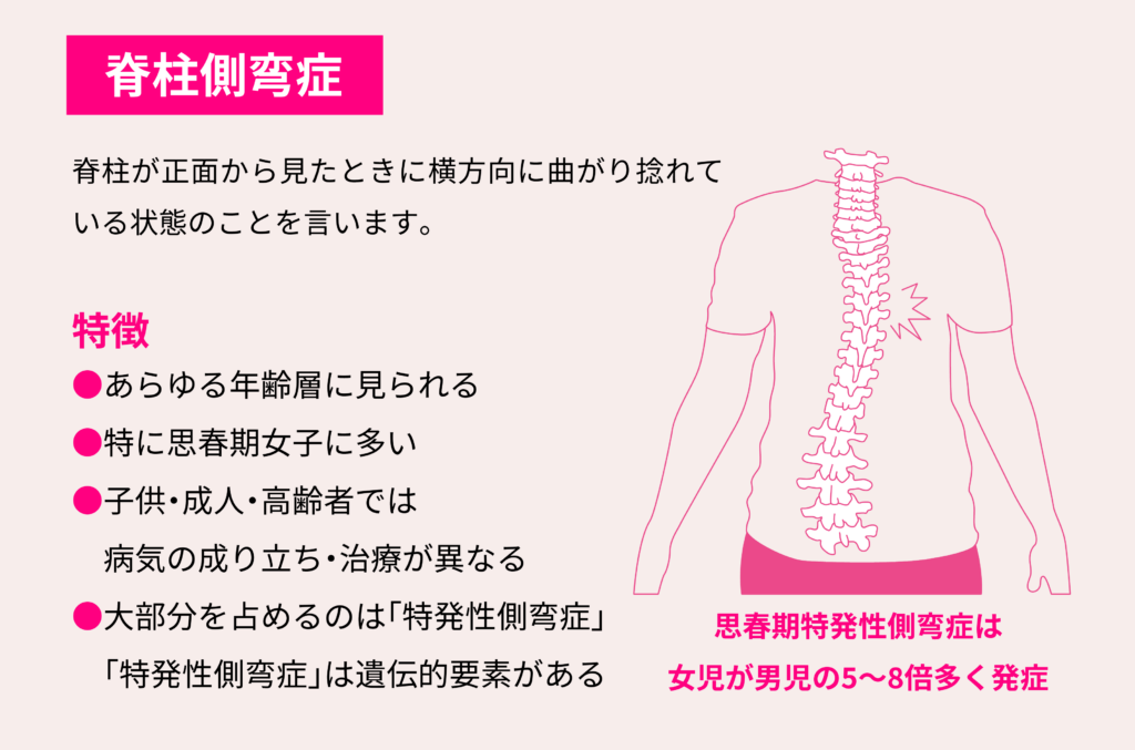 投稿の画像