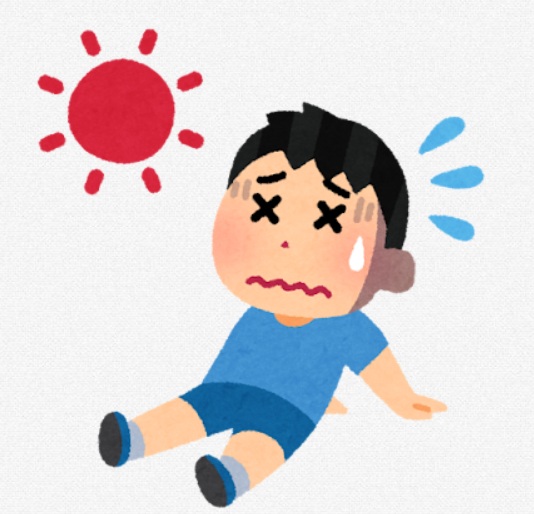 投稿の画像