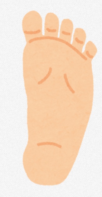 投稿の画像