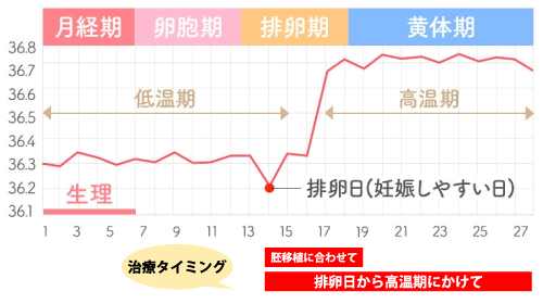 着床しない時の鍼灸治療タイミング