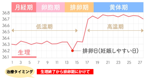 排卵しない時の鍼灸治療タイミング