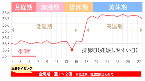 基礎体温が整わない時の鍼灸治療タイミング