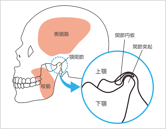 投稿の画像