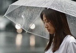 投稿の画像
