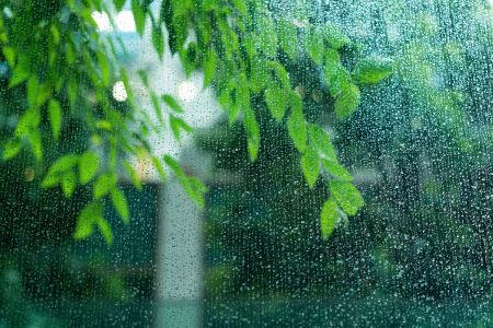 梅雨、季節の変わり目