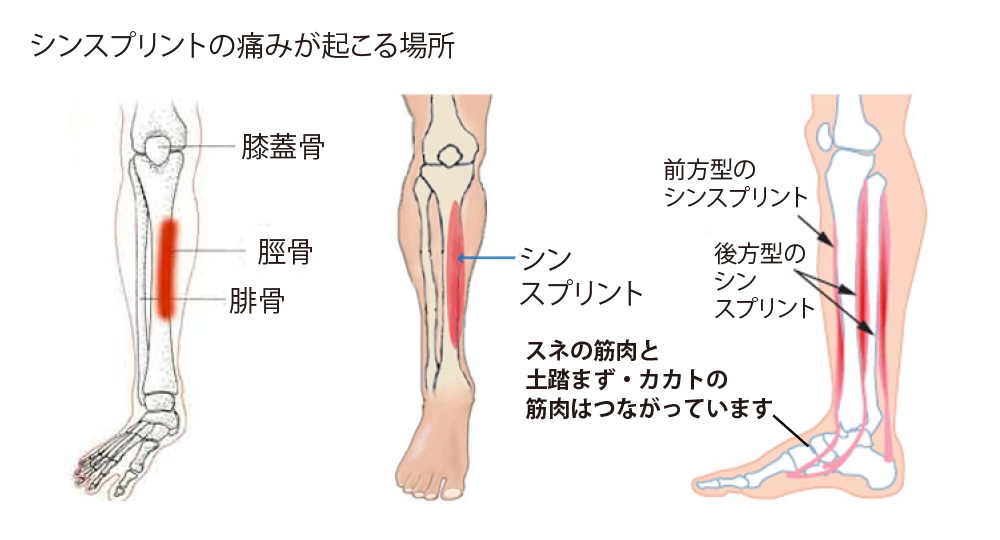 投稿の画像