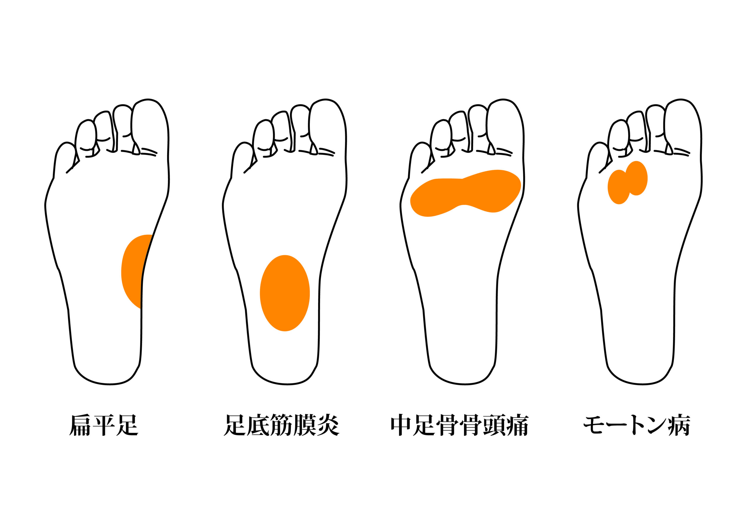 投稿の画像
