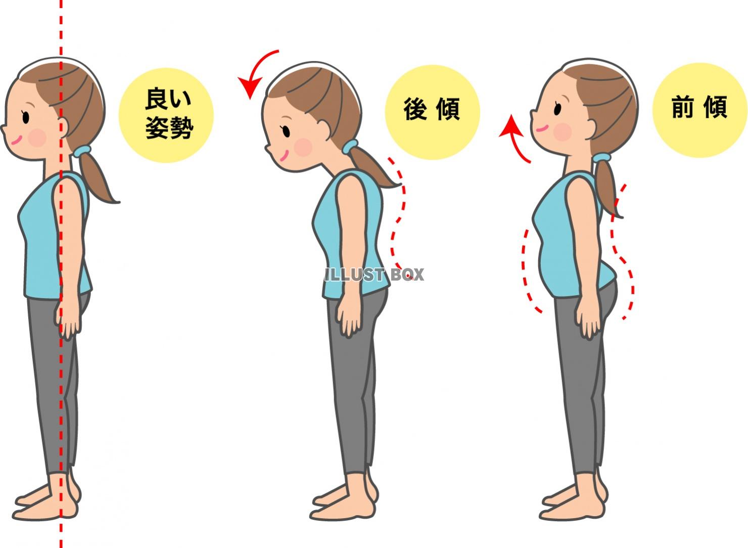 投稿の画像