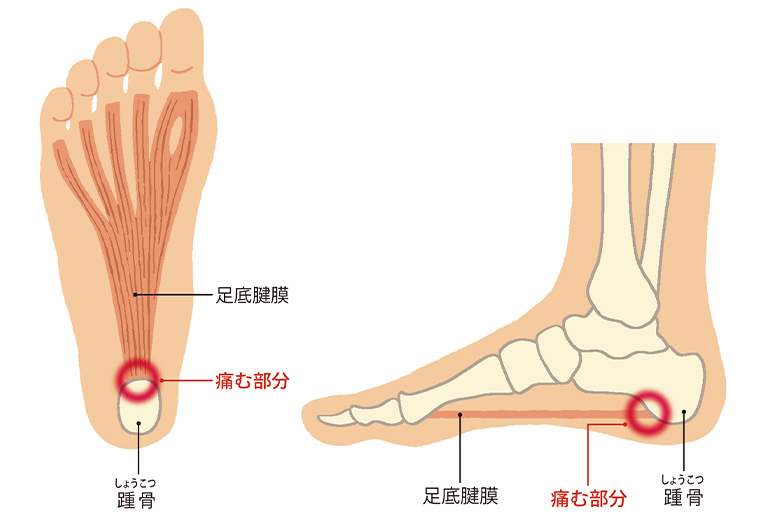 投稿の画像