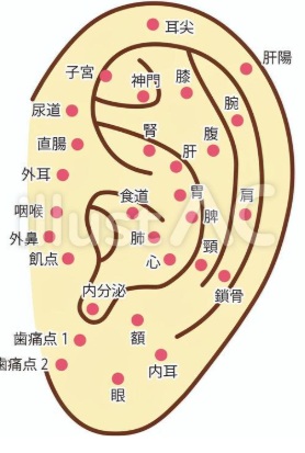 投稿の画像
