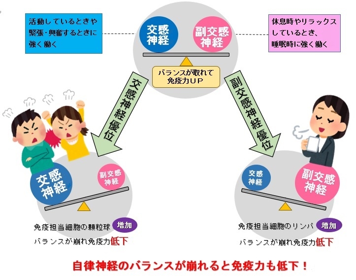 投稿の画像
