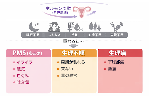 月経トラブルの全体像（ホルモン変動×睡眠・ストレス・冷え・血流）