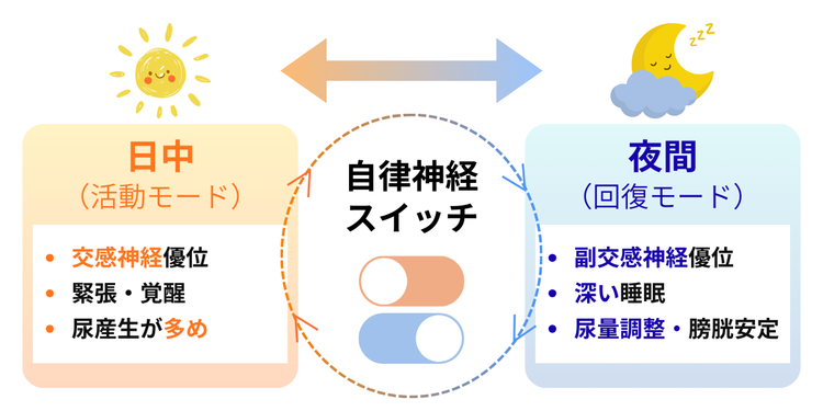 夜の切り替え（スイッチ）イメージ