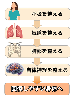 メディカルジャパンが確認する呼吸、気道、胸郭、自律神経の図解