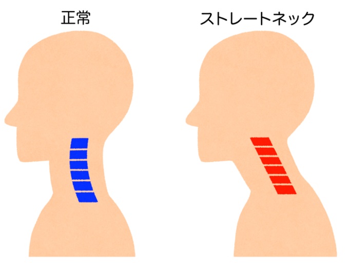 投稿の画像