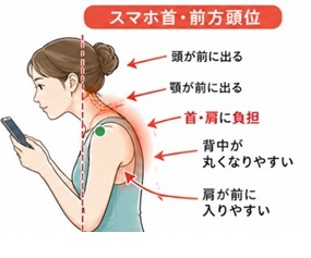 投稿の画像
